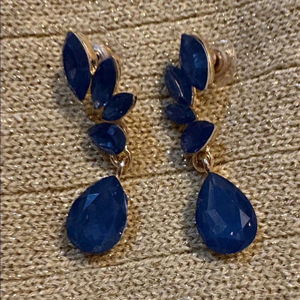 Elegant Navy Blue Teardrop Earrings
